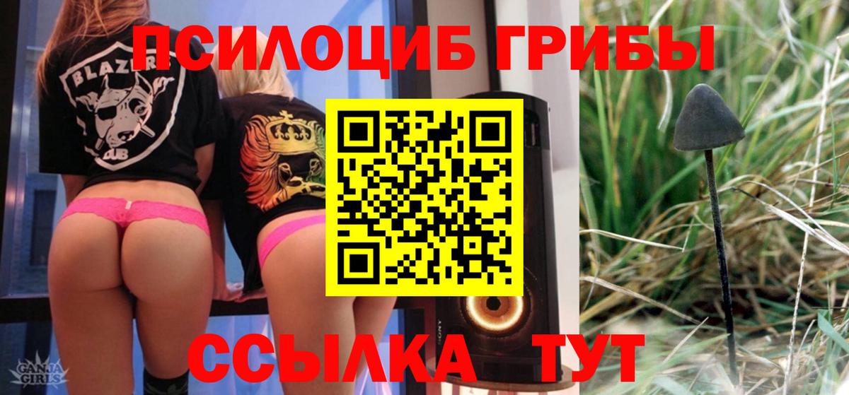 Псилоцибиновые грибы прущие грибы  Вход с VPN  Галлюциногенные грибы прущие грибы  Россия 